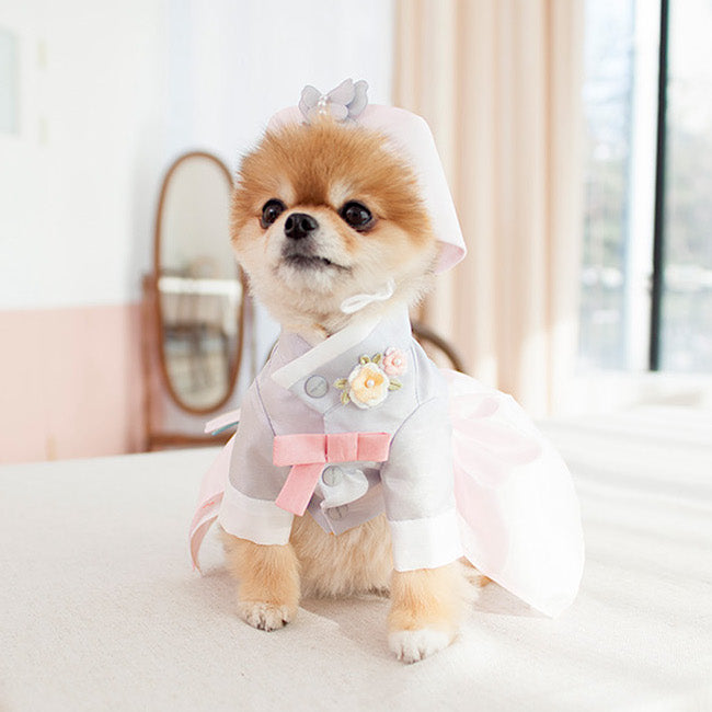 Hanbok for clearance dogs