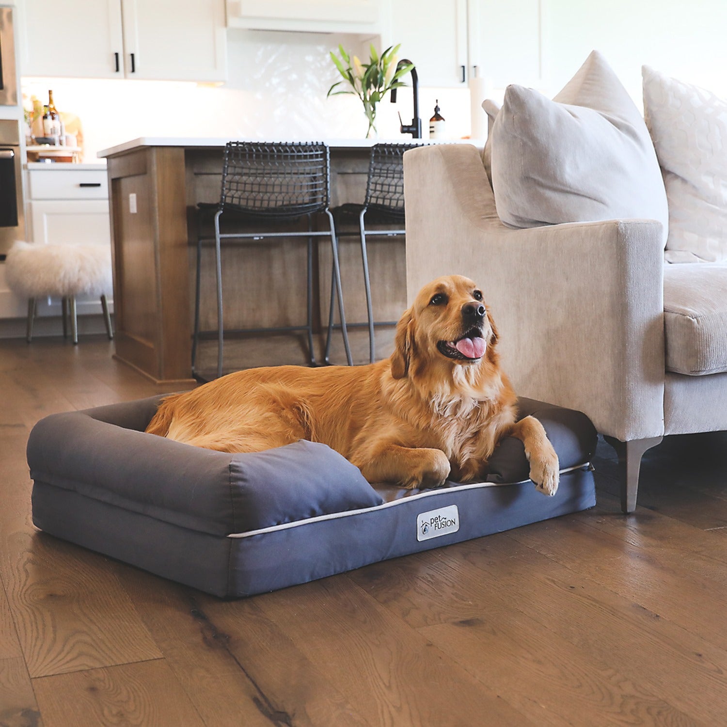 Petfusion memory shops foam dog bed large