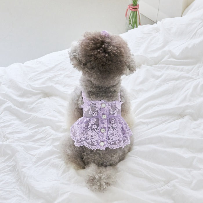 Love Punching Lace Dress (Lavender)