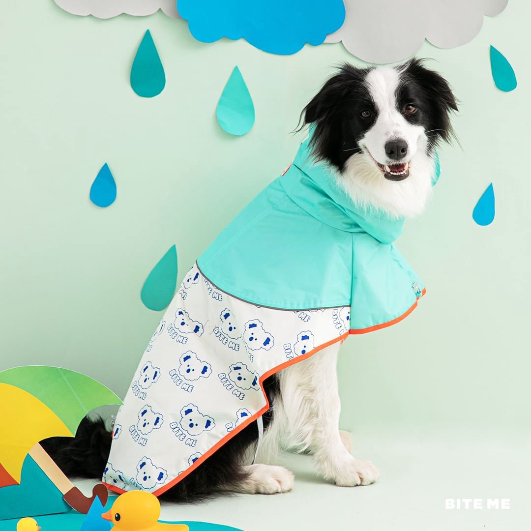 Rubber ducky dog on sale raincoat