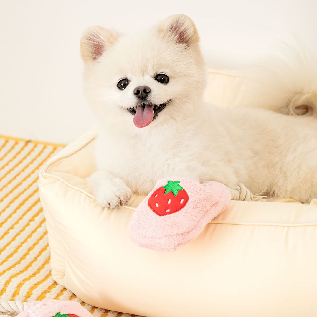 Pomeranian slippers hot sale