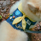 Scout Harness | Custom Name!