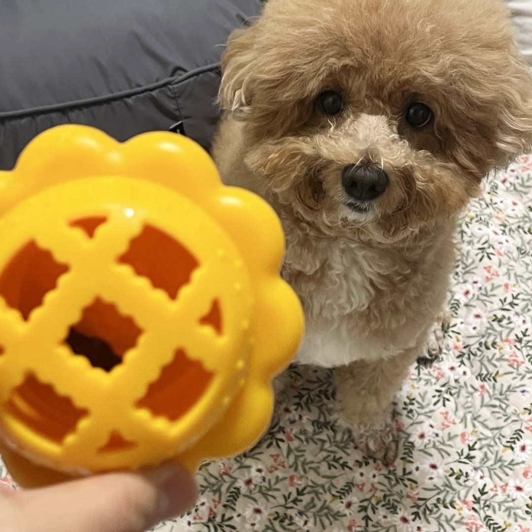 Sniffy Pie Toy