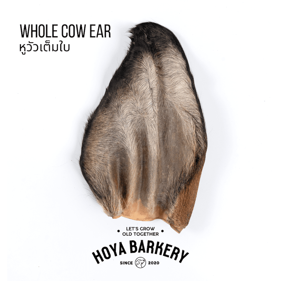 Cow Whole Ear