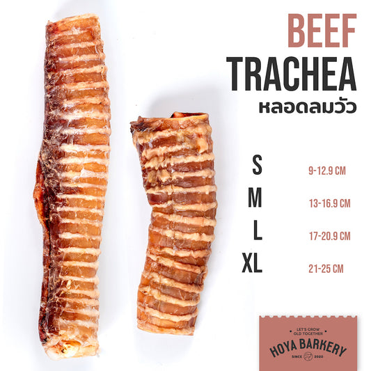 Beef Trachea