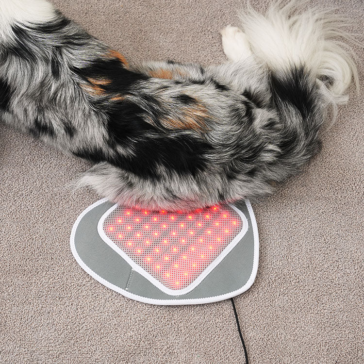 Cirius Pet Near Infrared (NIR) Joint Therapy Pad