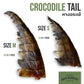 Crocodile Tail