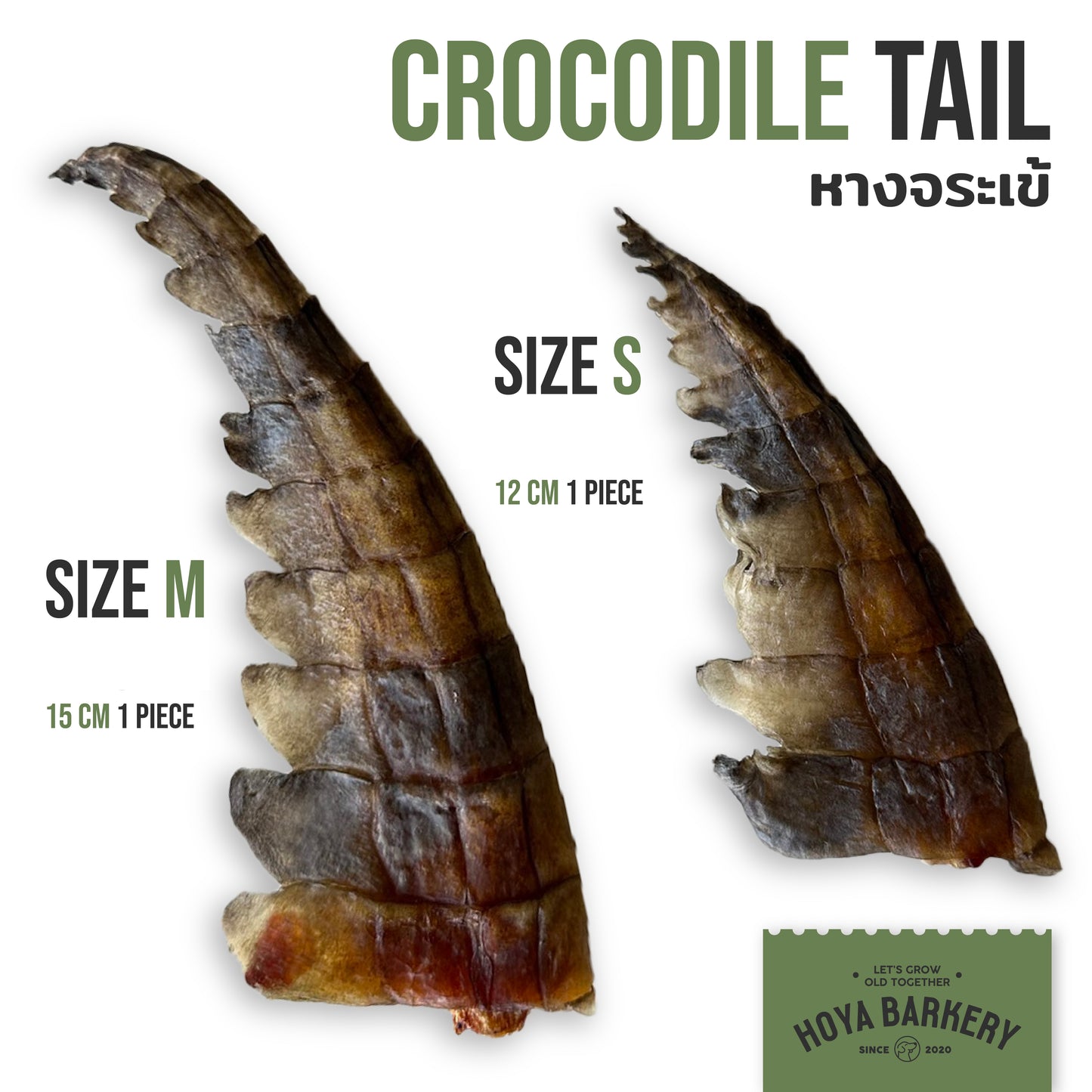 Crocodile Tail