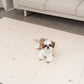 PUPPING Non-Slip Pet Mat (Fold Type | 5 styles)