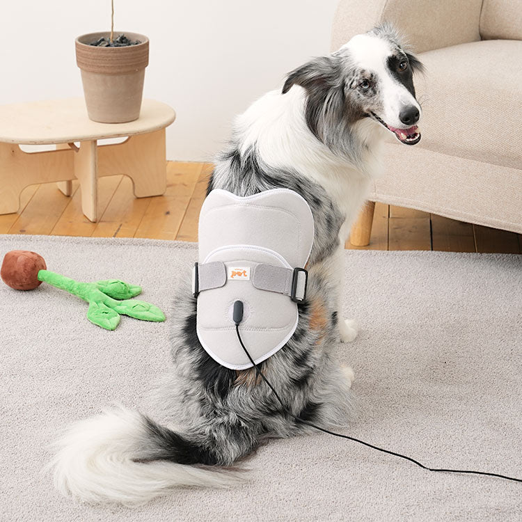 Cirius Pet Near Infrared (NIR) Joint Therapy Pad