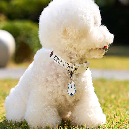 Colorful Miffy Collar