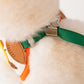 Miffy & Friends Harness