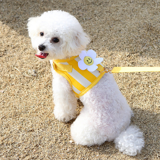 Smile Daisy Harness