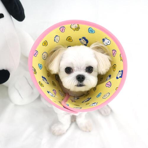 Snoopy Dog Cone (2 colors)