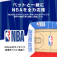 NBA Court Pet Bed