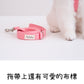 Basic Color Leash