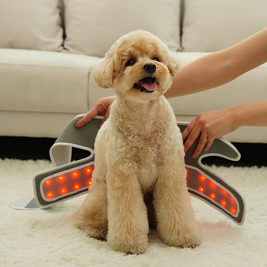 Cirius Pet Near Infrared (NIR) Joint Therapy Belt