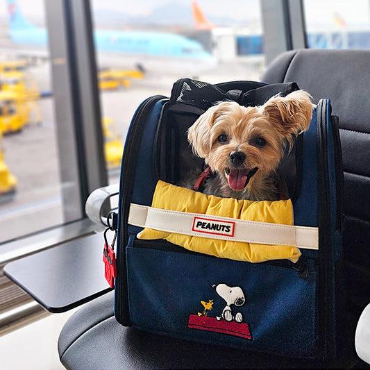 Snoopy Pet Backpack