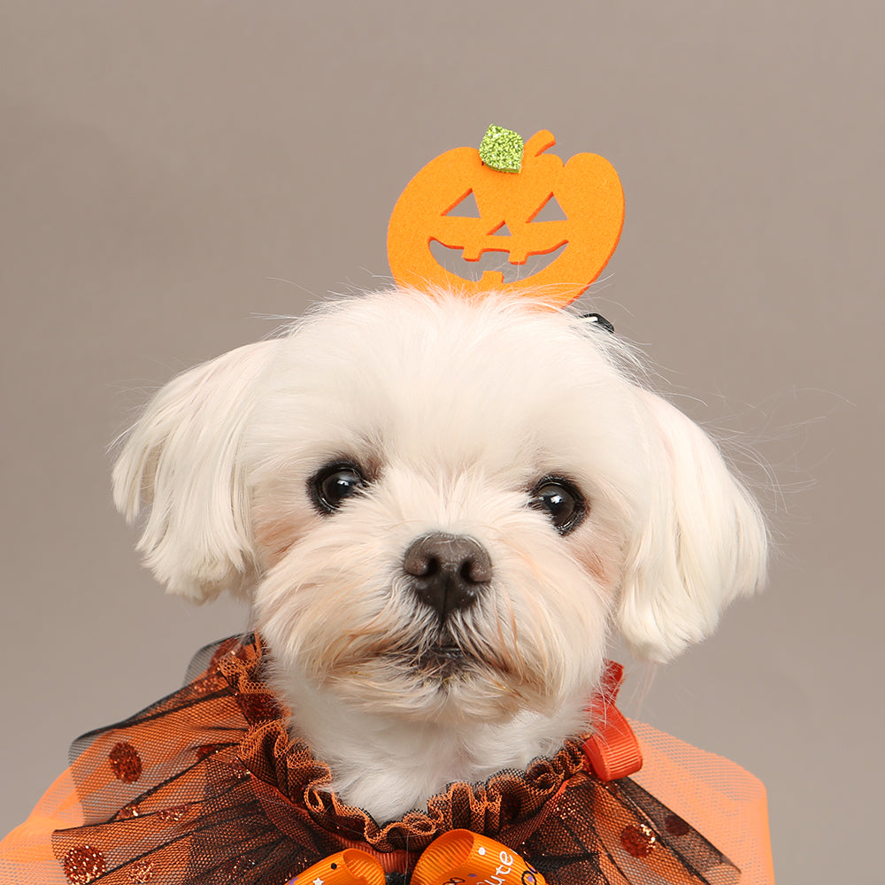 Halloween Pumpkin Hairpin