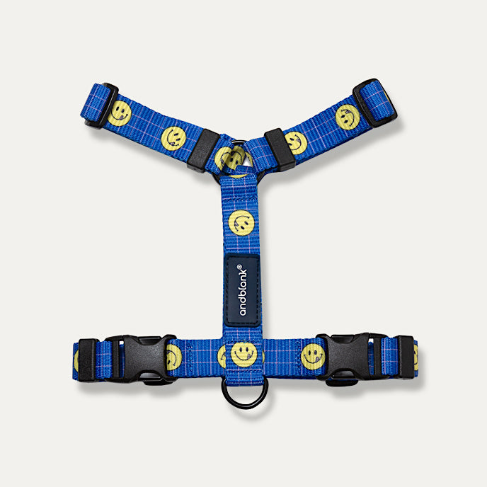 [andblank® x Knotted] Smiley H-Type Harness