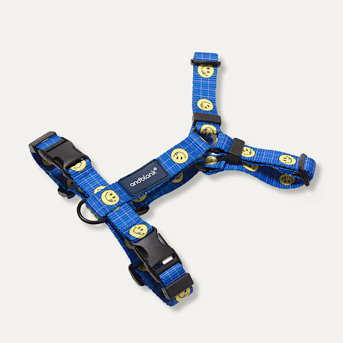 [andblank® x Knotted] Smiley H-Type Harness