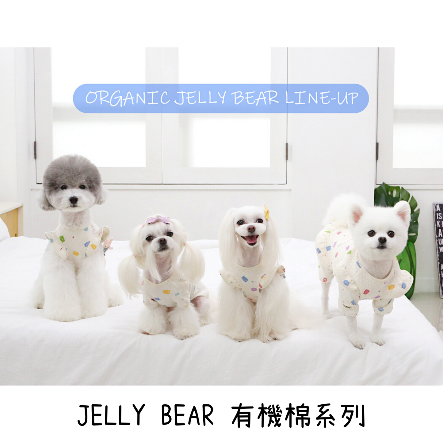 Jelly Bear Organic Cotton All in One