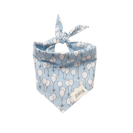 Party Lake Bandana