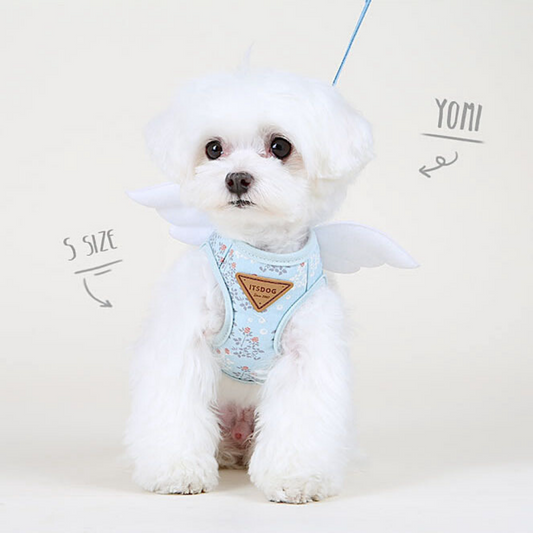 Blooming Angel Harness