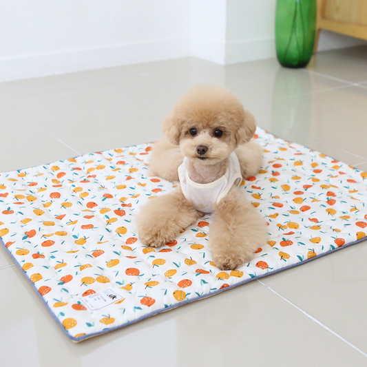 Orange Cooling Mat