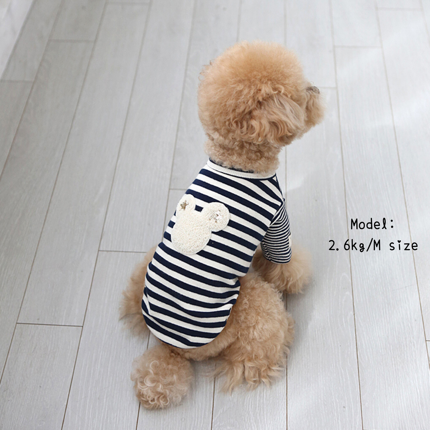 Star Bear Striped Tee