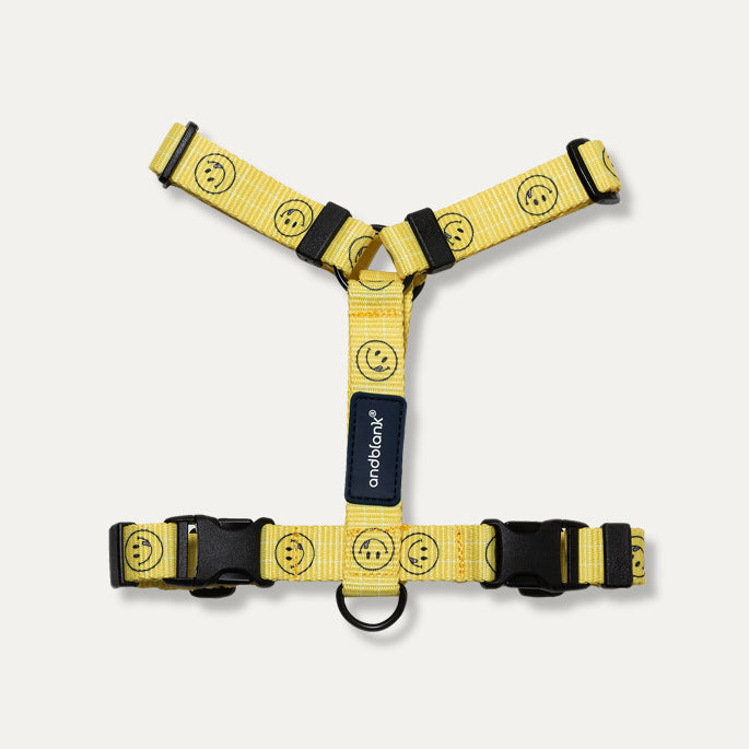 [andblank® x Knotted] Smiley H-Type Harness