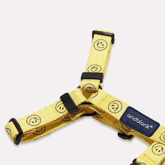 [andblank® x Knotted] Smiley H-Type Harness