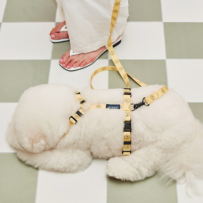 [andblank® x Knotted] Smiley H-Type Harness