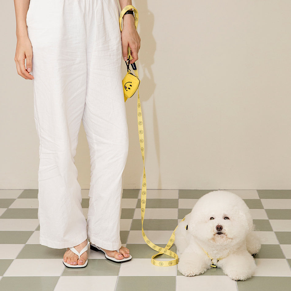 andblank® x Knotted] Smiley Leash – PAW-EVER