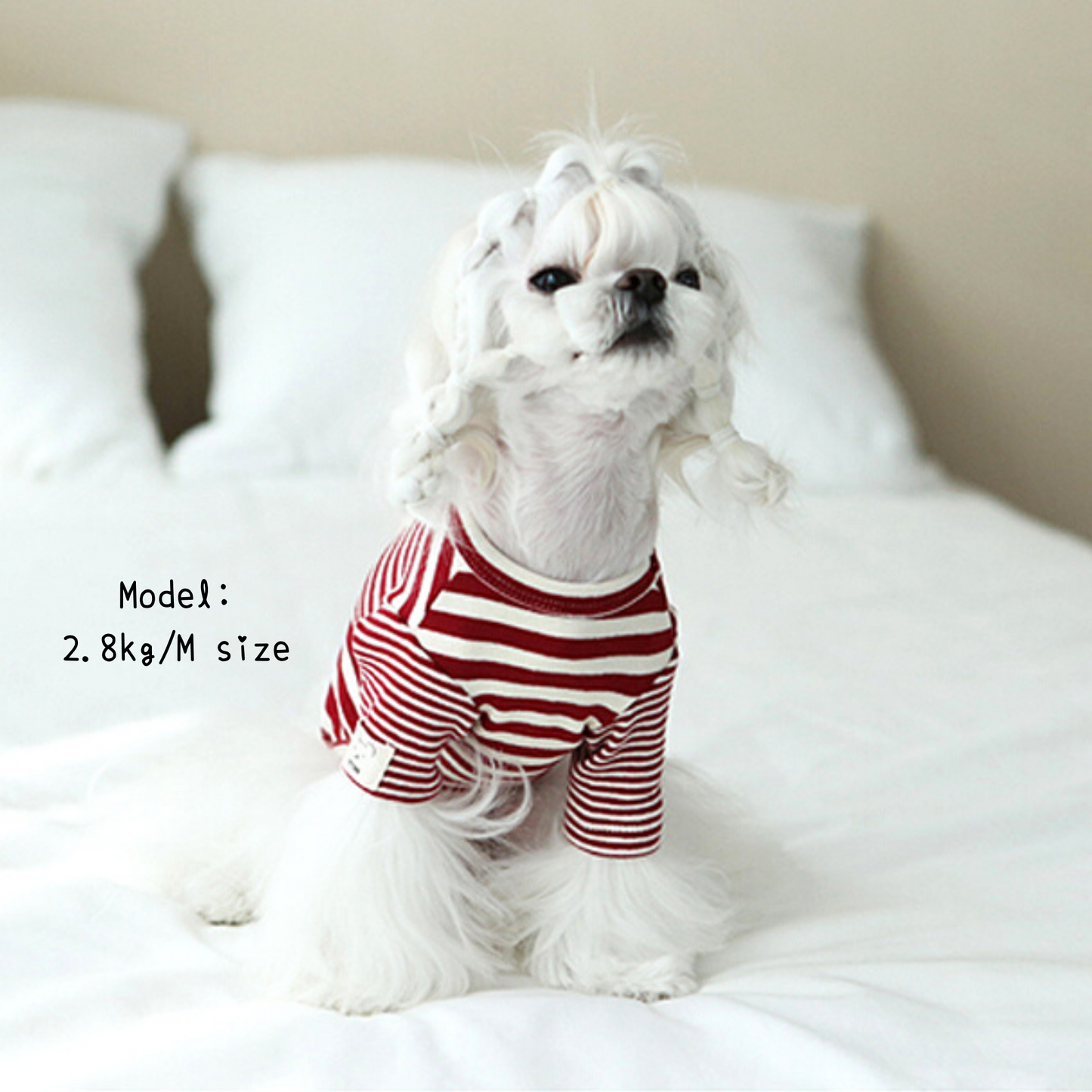 Star Bear Striped Tee