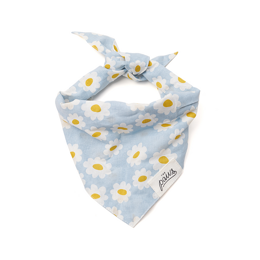 Blue Daisy Bandana