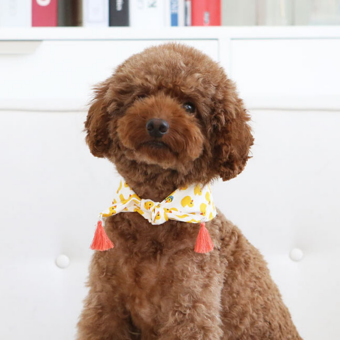 Yellow Chick Bandana