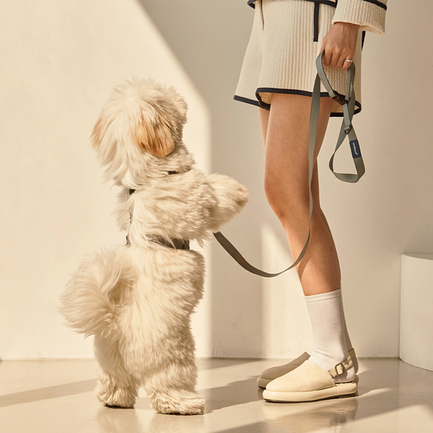 andblank® Leash