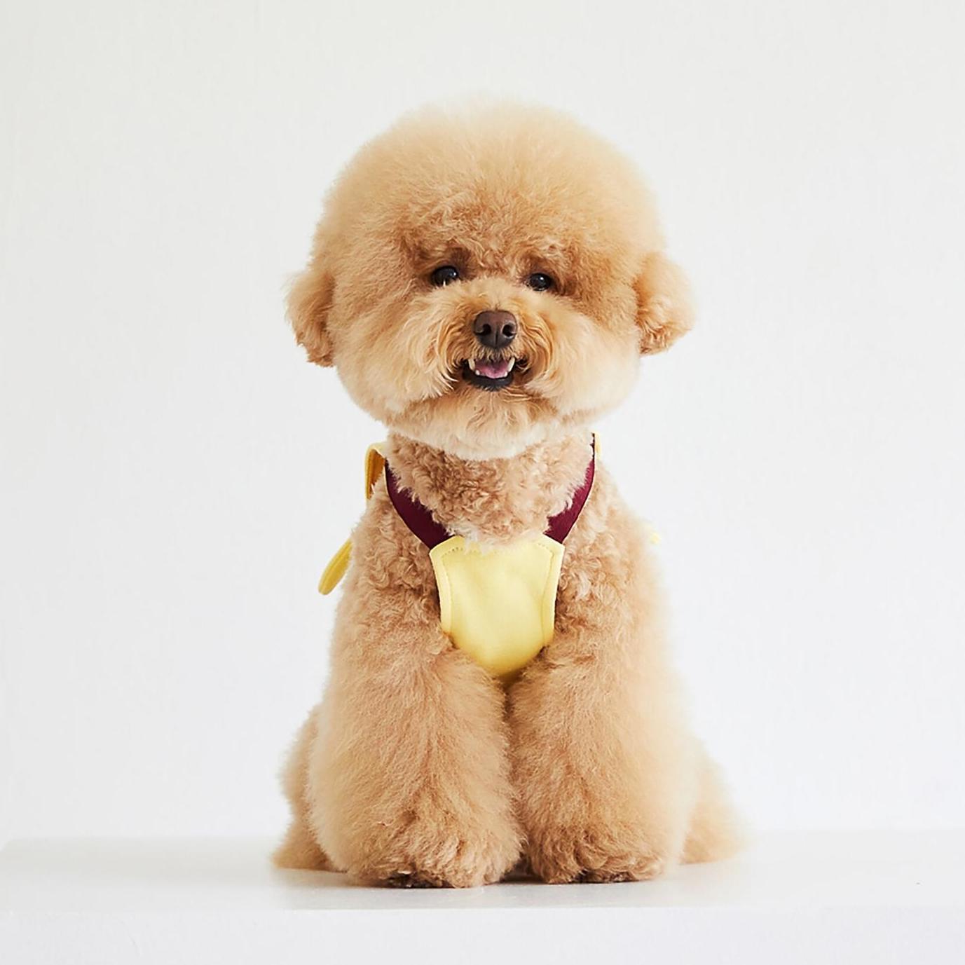 Pompompurin Crop Vest