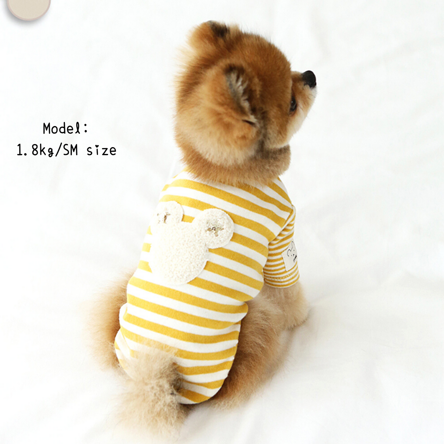 Star Bear Striped Tee