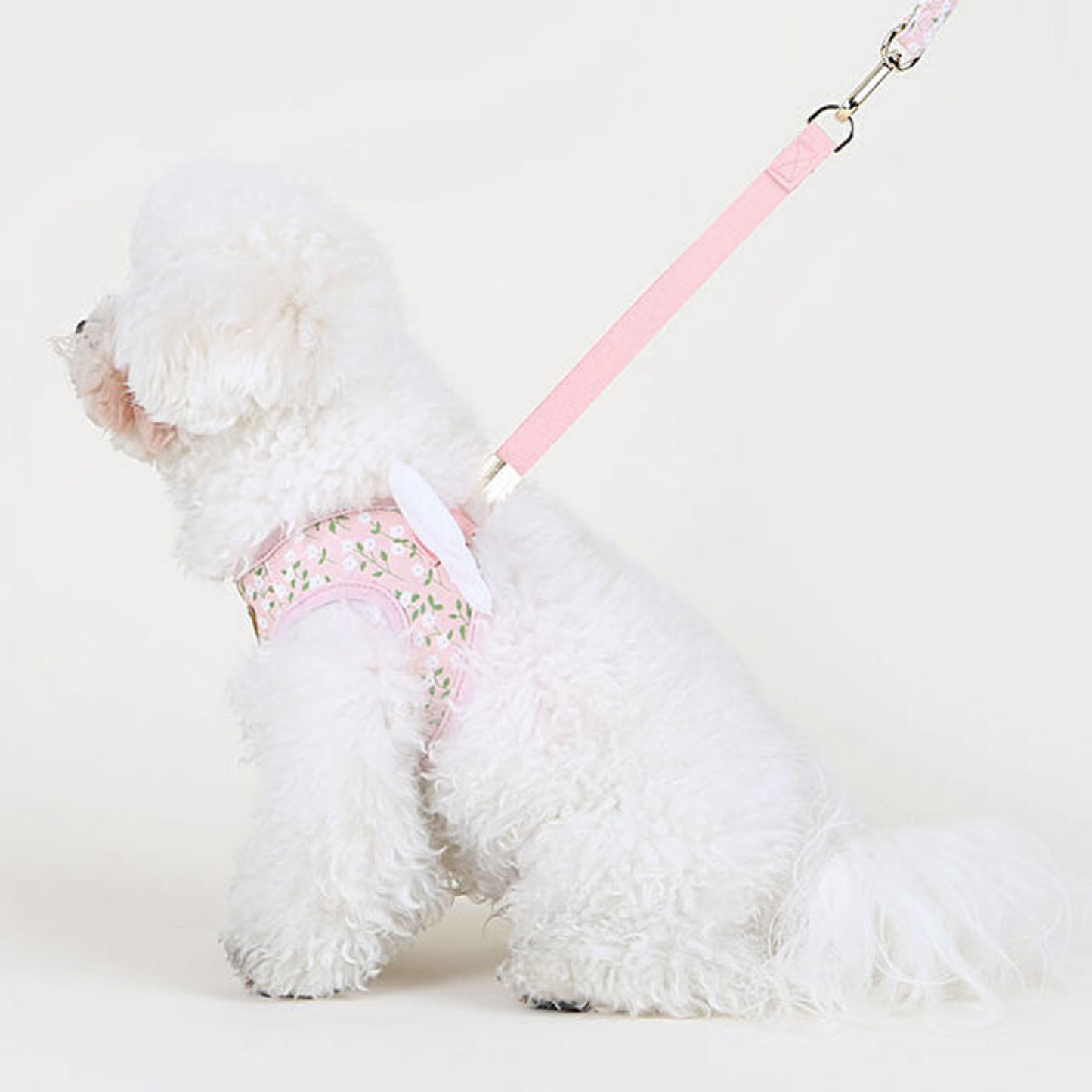 Blooming Angel Harness