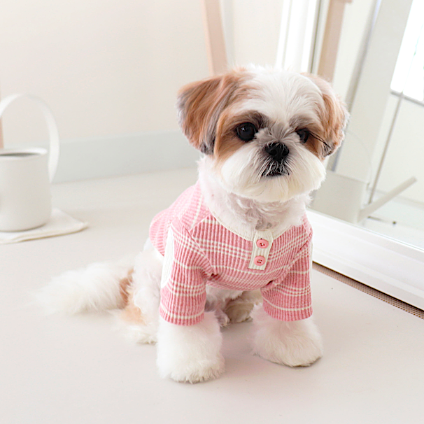 Baby Bear Striped Tee