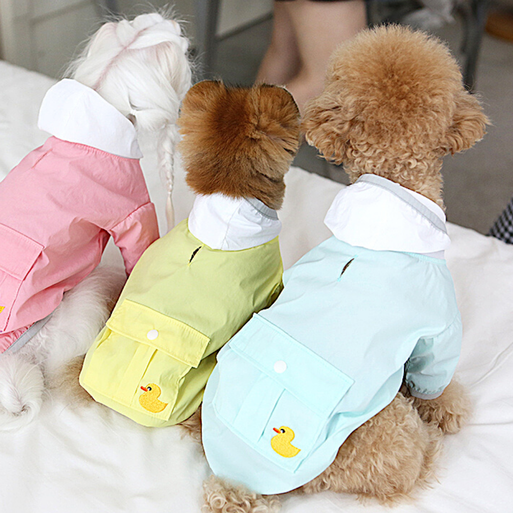 Pastel Windbreaker