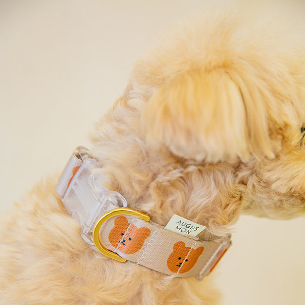 Teddy bear hotsell dog collar