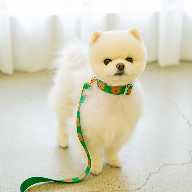 Teddy bear shop dog collar