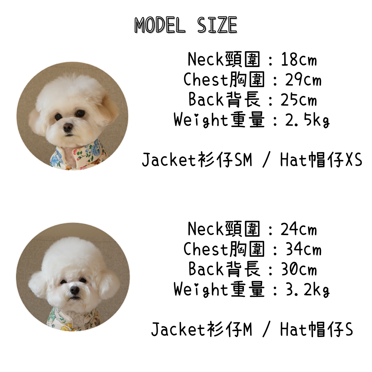 Blooming Teddy Vest Jacket / Harness