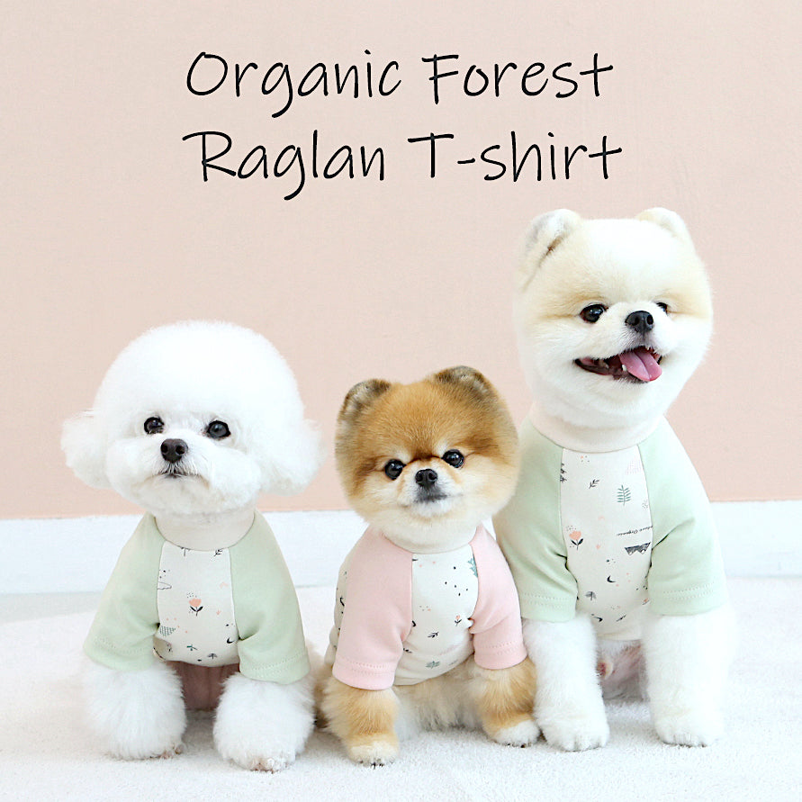 Organic Cotton Forest Tee