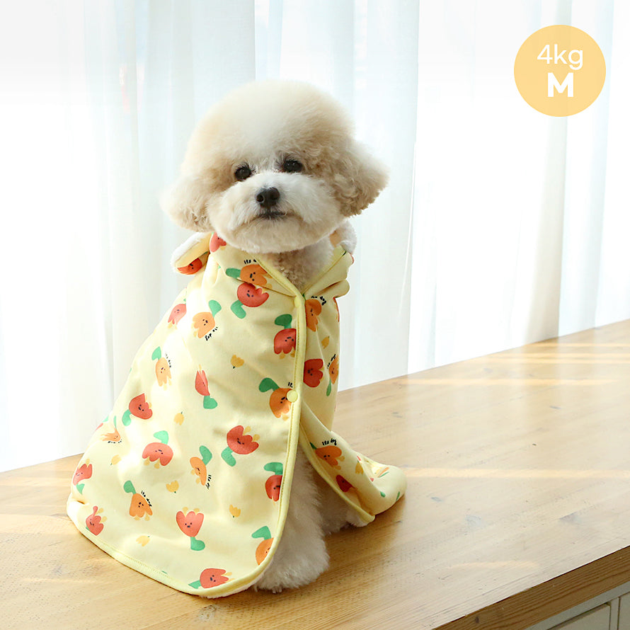 Bebe dog outlet clothes