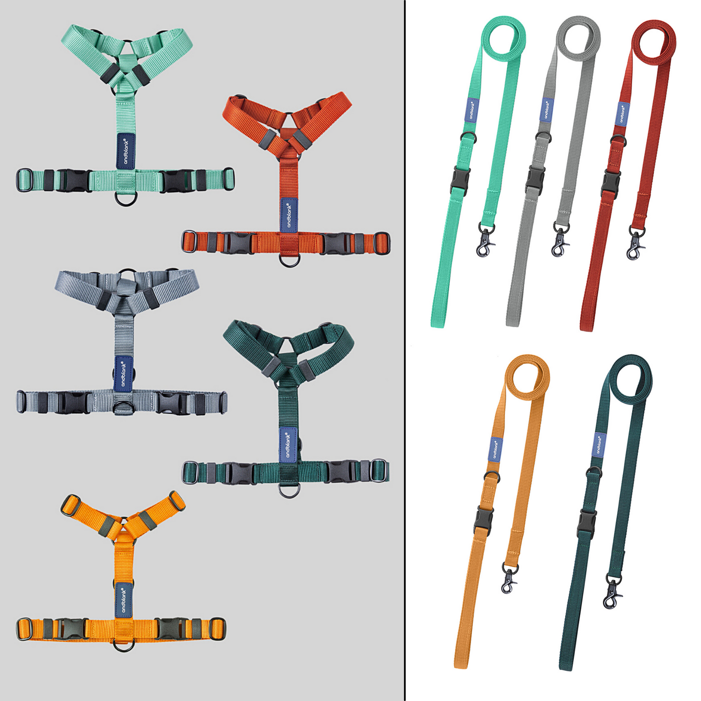 andblank® H-Type Harness