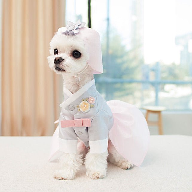 Dog hanbok best sale